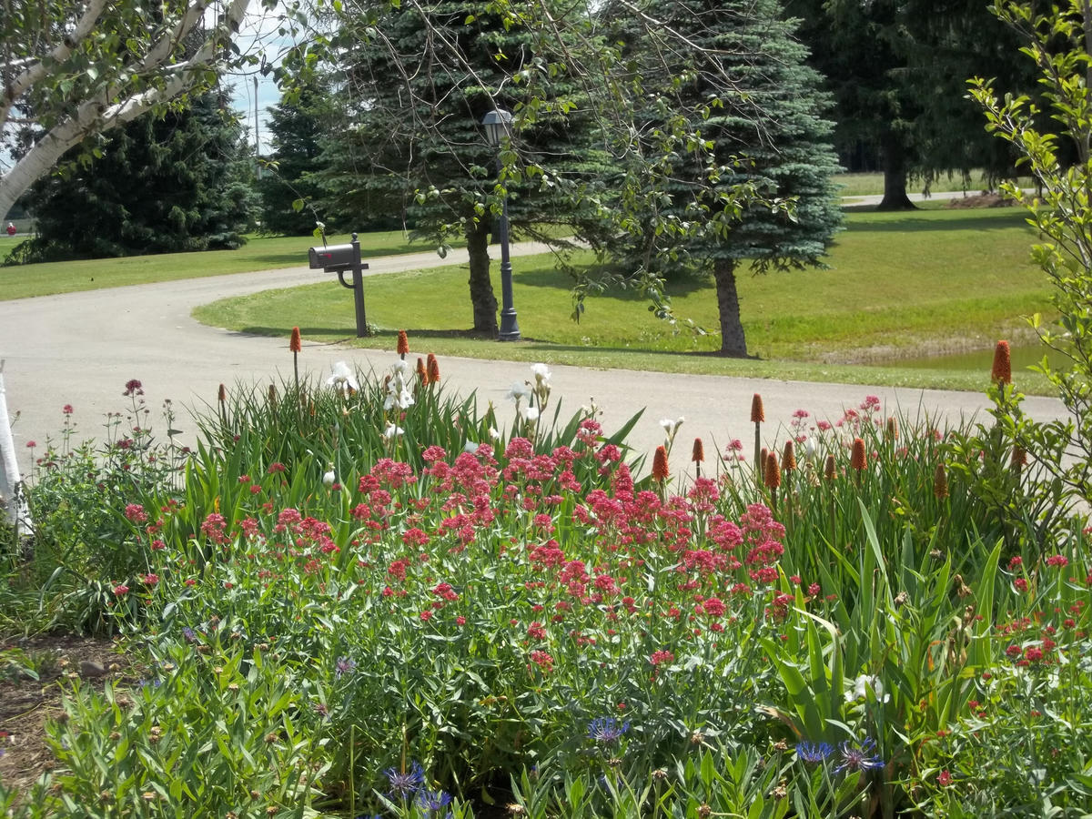 Fairway Suites At The Peak French Creek Exteriér fotografie