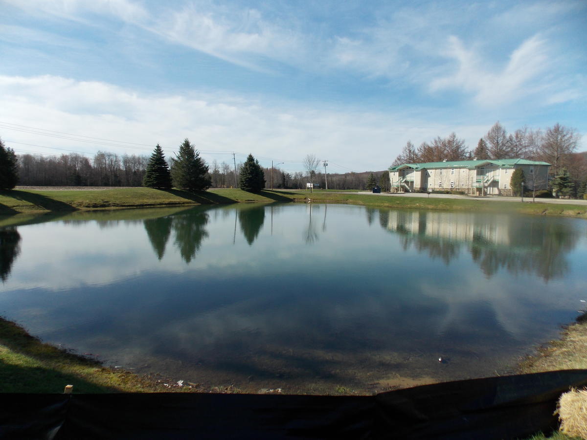 Fairway Suites At The Peak French Creek Exteriér fotografie